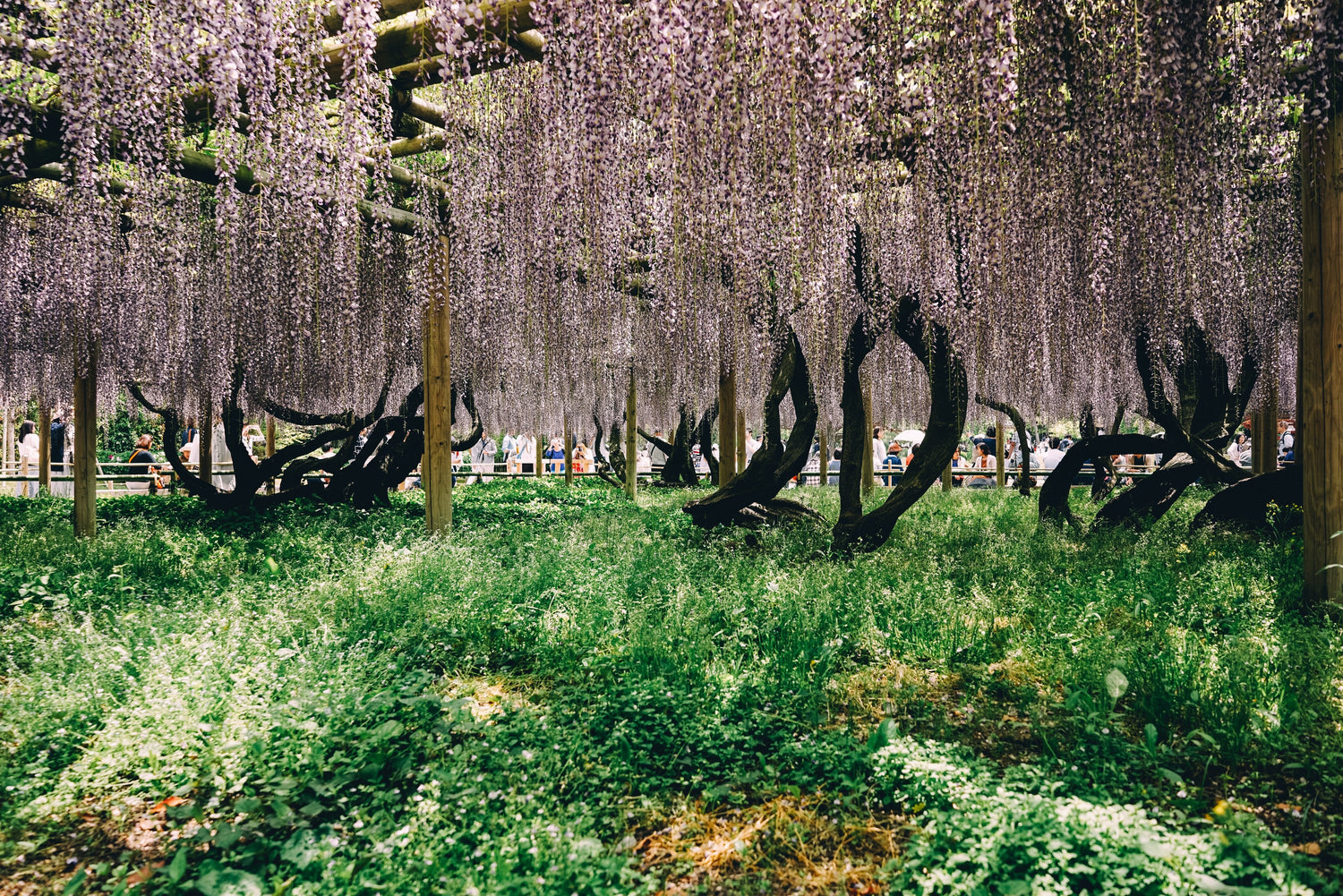 SEASONAL CURATIONS